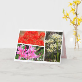 Cartão Spider Lily