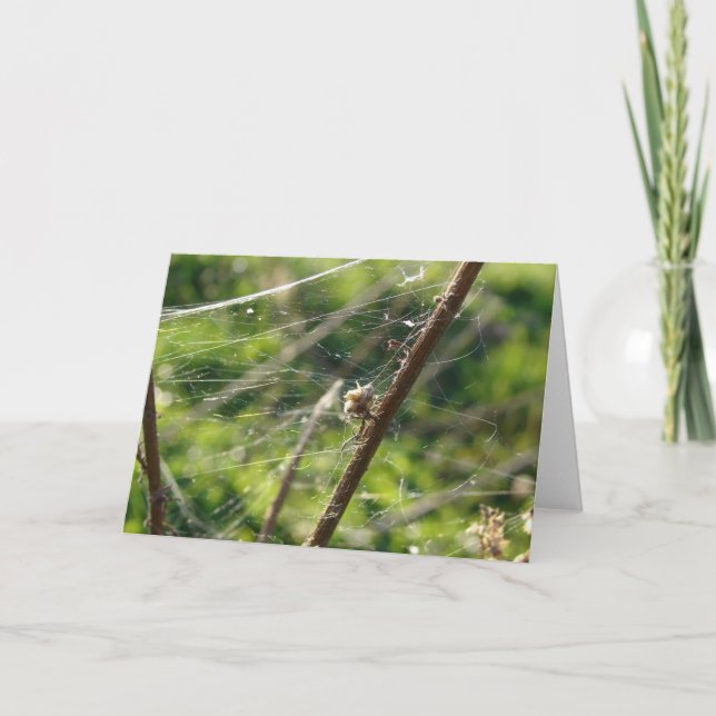 Cartão Spider Web Bokeh (Frente)