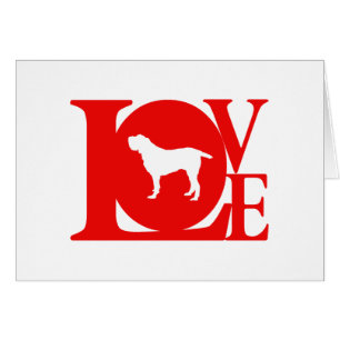 Cartão Spinone Italiano