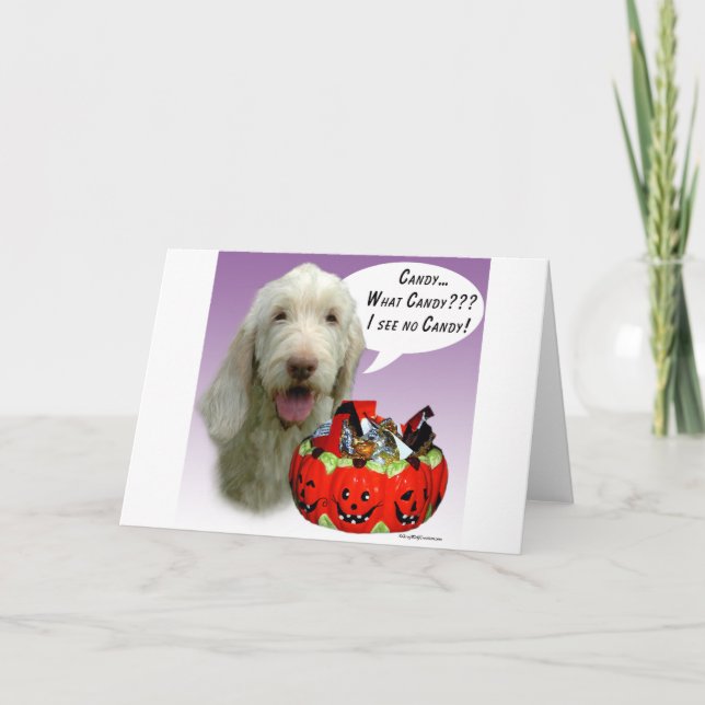 Cartão Spinone Italiano Halloween Candy (Frente)