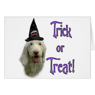 Cartão Spinone Italiano Trick