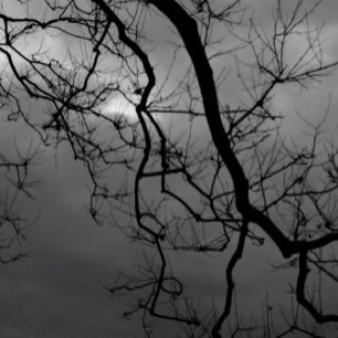 CARTÃO SPOOKY TREES FELIZMENTE METADE VOLTADA