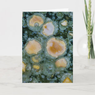Cartão Spotted Ocean Jasper