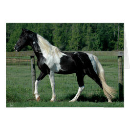 Cartão Spotted Walker