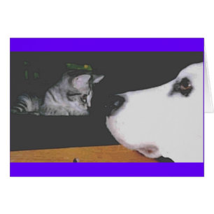 Cartão Spree&Kichou