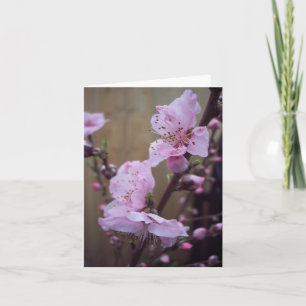 Cartão Spring Blossom Blank Note Card