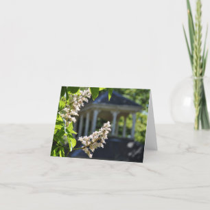 Cartão 'Spring' Notecard
