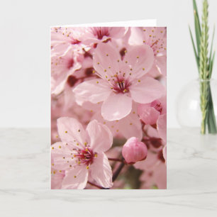 Cartão Spring Pink Tree Flower Blossoms Greeting Card