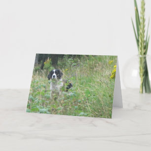 Cartão Spring spaniel, greeting card