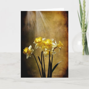 Cartão Spring Sun - Greeting Card