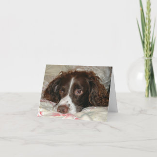 Cartão Springer Love