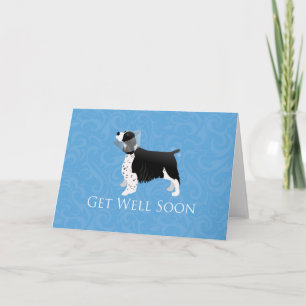 Cartão Springer Spaniel Get Well Soon Design