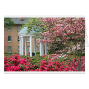 Cartão Springtime em Chapel Hill