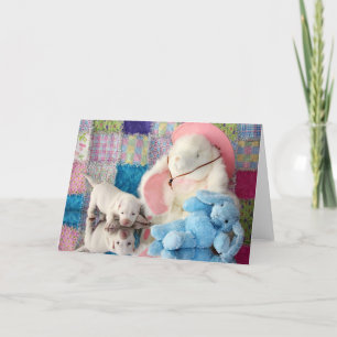 Cartão Springtime Reflection