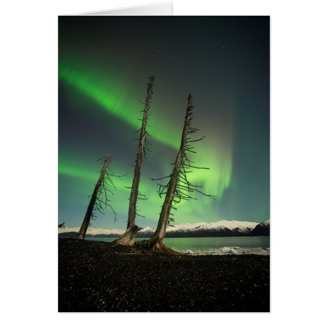 Cartão Spruce Aurora Esquecido (Frente)