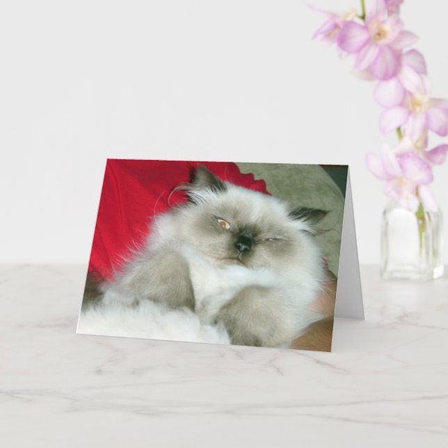 Cartão Squcil Himmy (Orquídea)