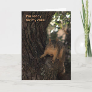 Cartão squirrel birthday card