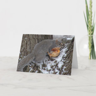 Cartão Squirrel Eats a Winter Treat