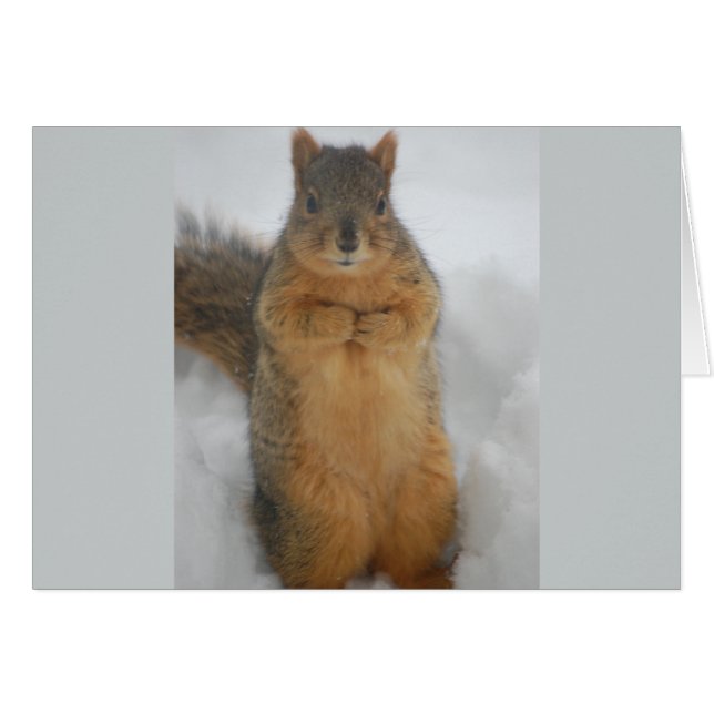 Cartão Squirrel Love (Frente Horizontal)
