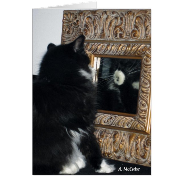 Cartão Sr. Bootee, através do espelho (Frente)