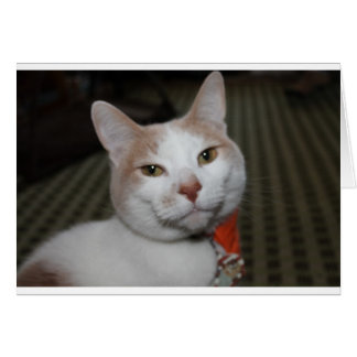 Cartão Sr. Peabody!