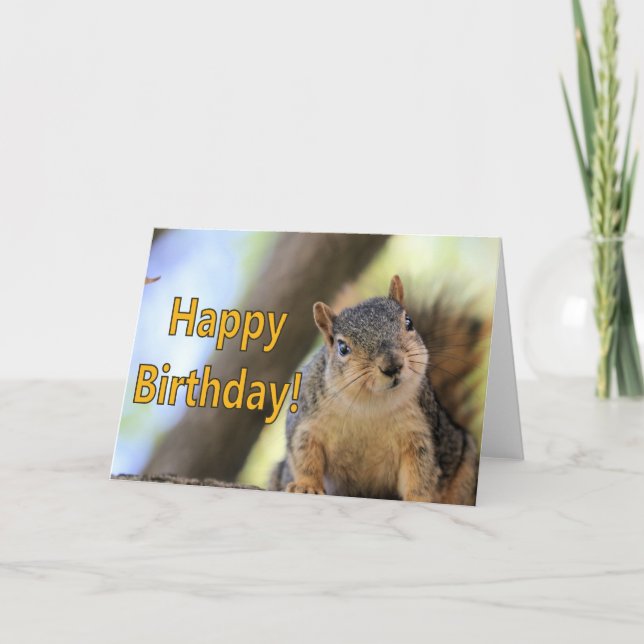Cartão Sr. Squirrel desejando um feliz aniversário (Frente)