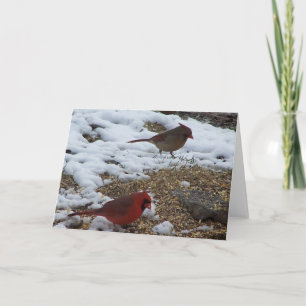 Cartão Sr&Sra. Dinheiro Cardeal