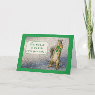 Cartão St. Patrick's Day, Squirrel, Humorous