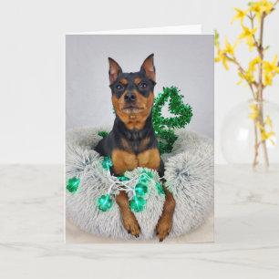 Cartão St Pats MinPin