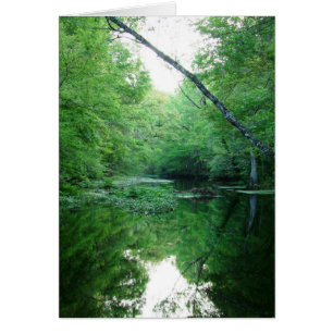 Cartão St. Rio das marcas