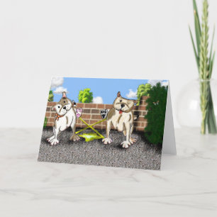 Cartão STAFFIE SMILES - X factor - greetings card