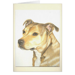Cartão Staffordshire bull terrier