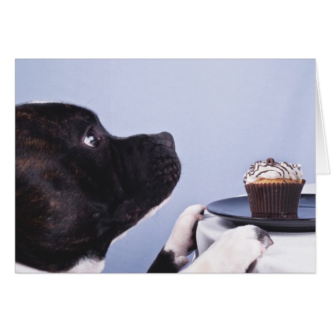 Cartão Staffordshire Bull Terrier & Cake Card (Frente Horizontal)