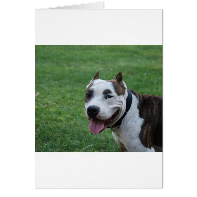 Cartão staffy 4.png (Frente)
