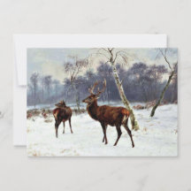 Stag and Doe em um Paisagem de Neve