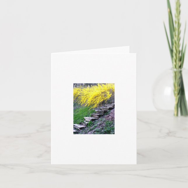 Cartão Stairway Notecard (Frente)