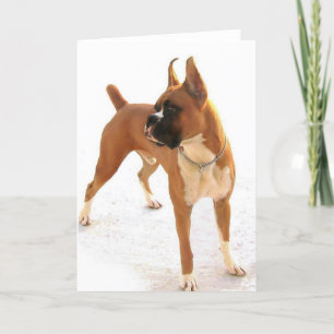 Cartão Standing fawn boxer greeting card