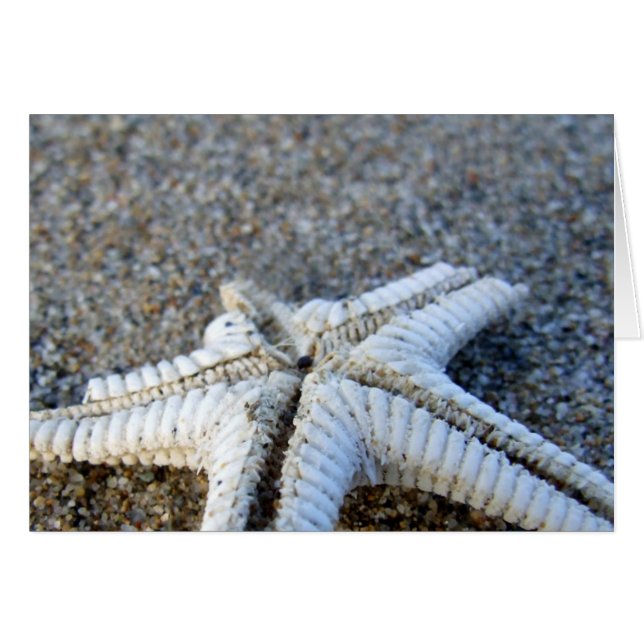 Cartão Starfish (Frente Horizontal)