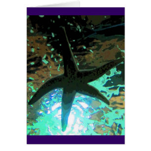 Cartão Starfish CB