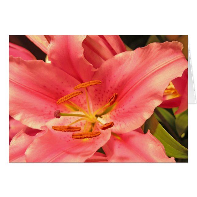 Cartão Stargazer (Frente Horizontal)