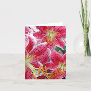Cartão Stargazer Lilies Note Cards
