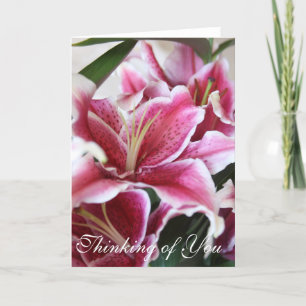 Cartão Stargazer Lily
