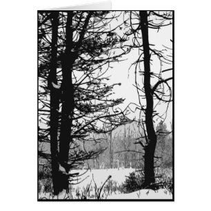 Cartão Stark Winter Day