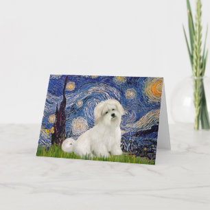 Cartão Starry Night - Coton de Tulear 7