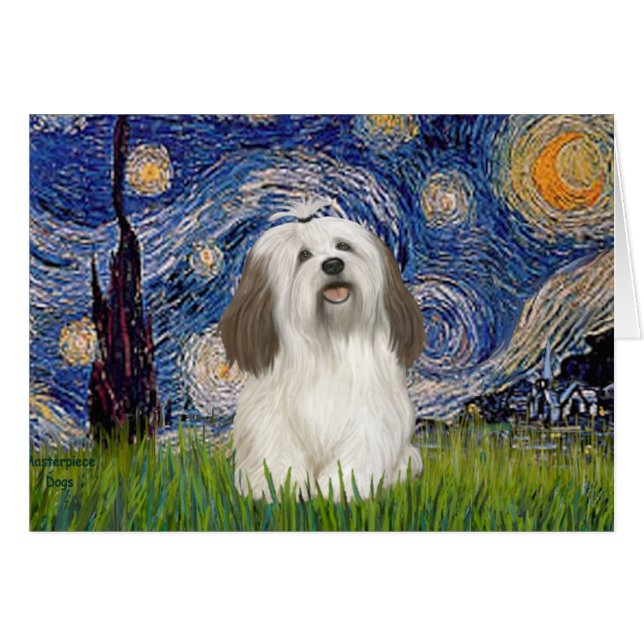 Cartão Starry Night - Havanese ( nº 1) (Frente Horizontal)