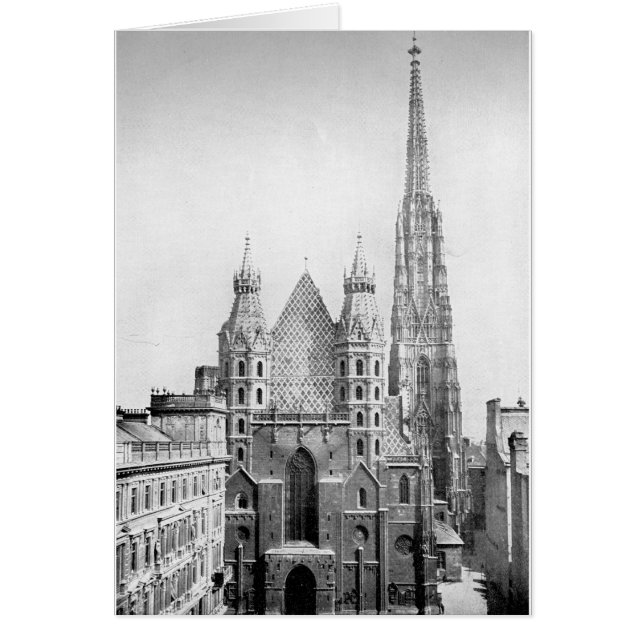 Cartão Stephens, Viena por volta de 1890 (Frente)
