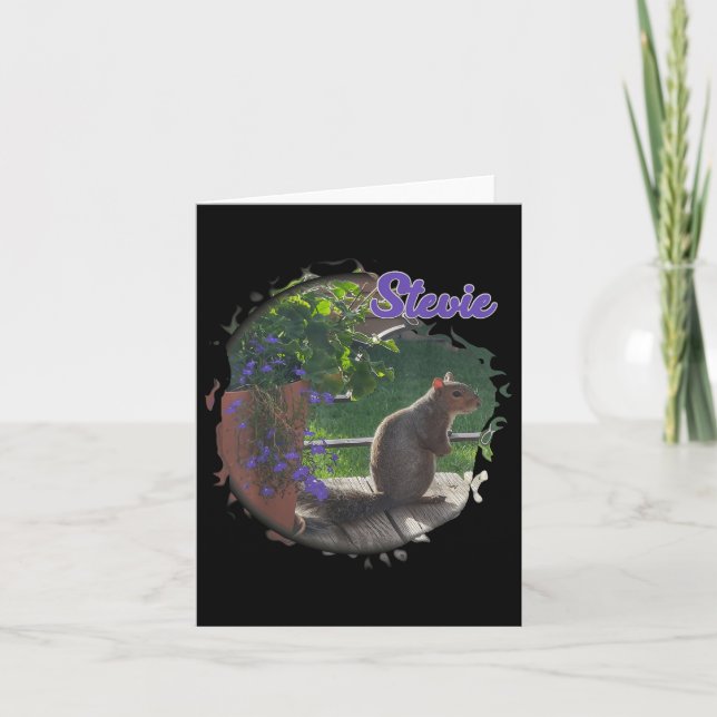 Cartão Stevie The Squirrel (Frente)