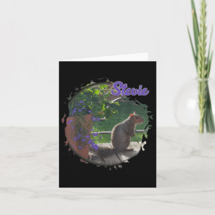 Cartão Stevie The Squirrel