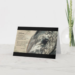 Cartão Stillness Inspiration