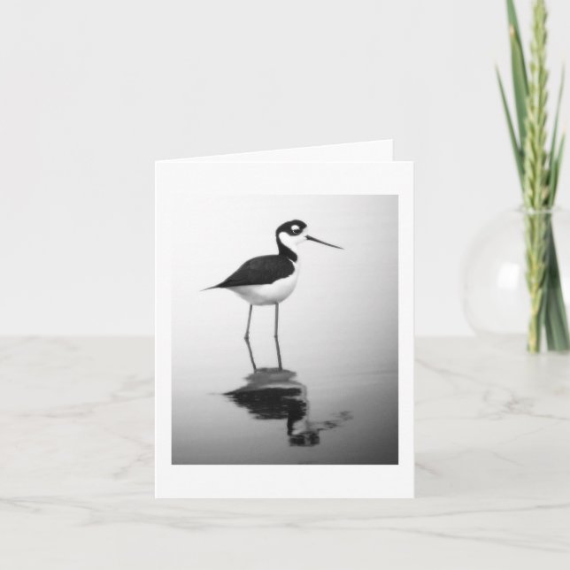 Cartão Stilt Preto-necked Notecard (Frente)